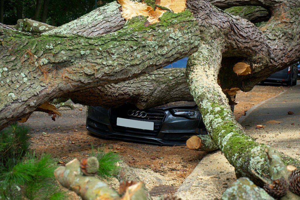 cheap car insurance